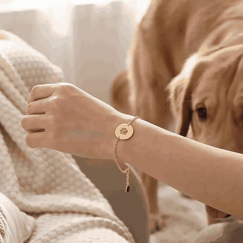 Persona mostrando su pulsera huellita mientras su perro se acerca